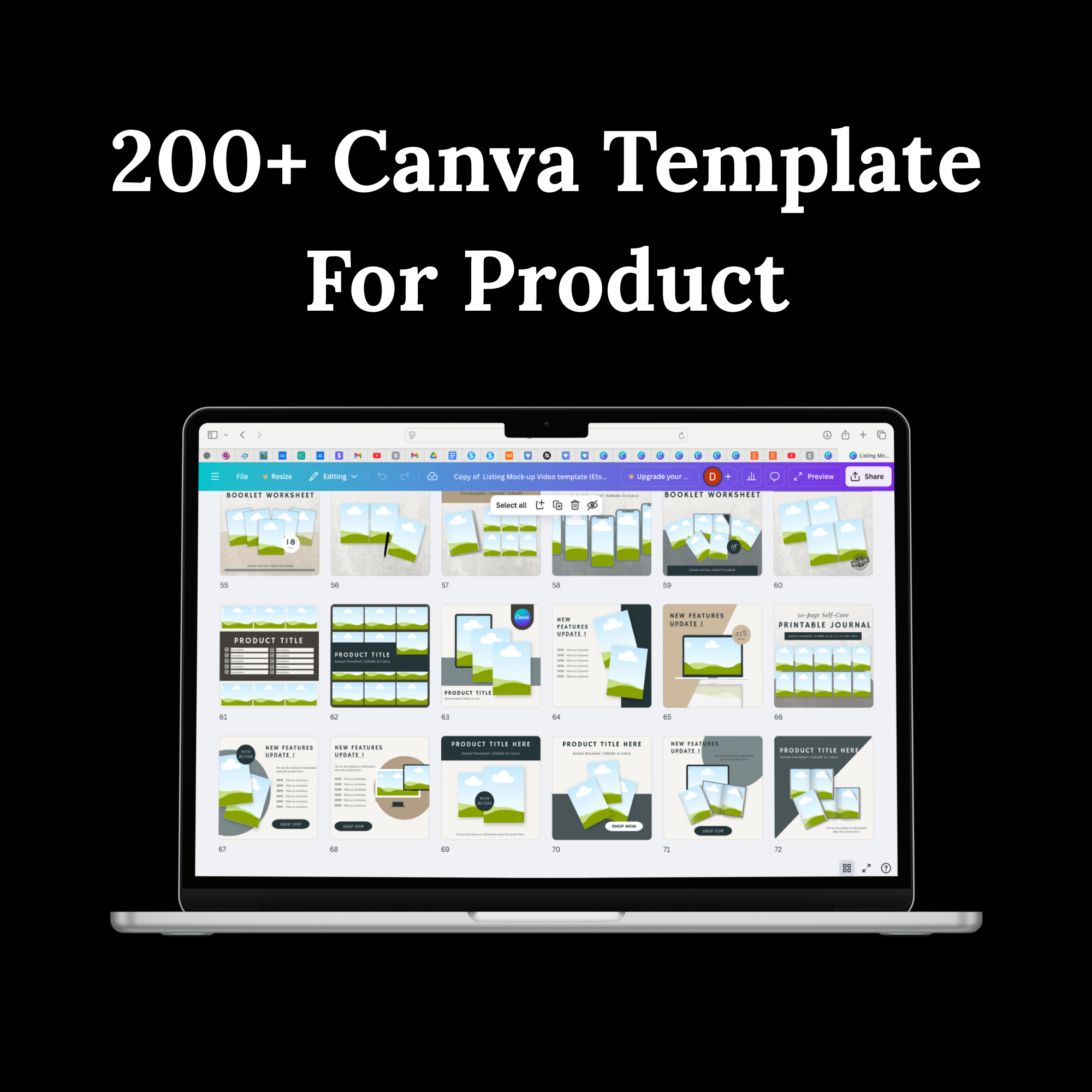 Digital Success Blueprint Kit (PLR)