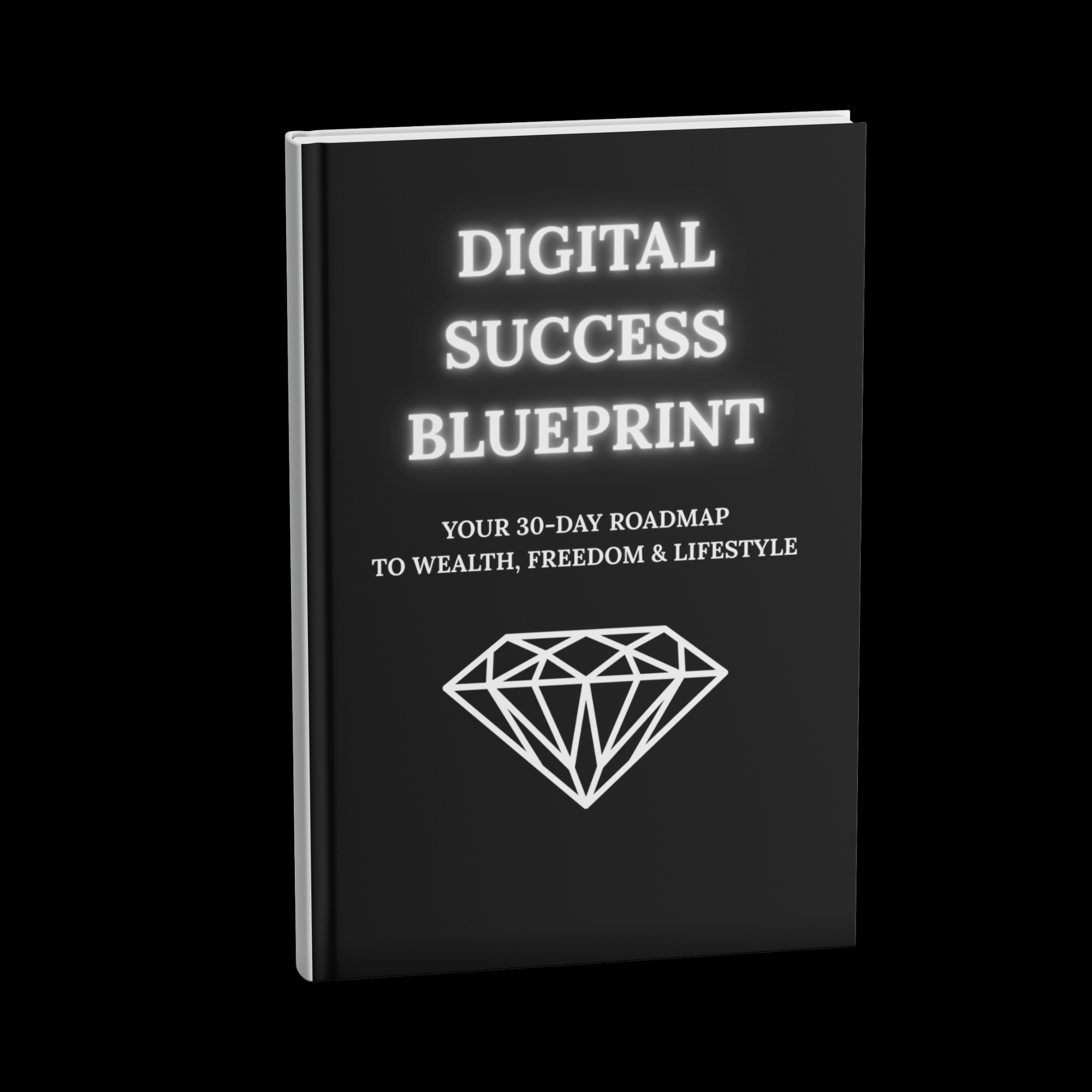 Digital Dropshipping Blueprint (PLR License)