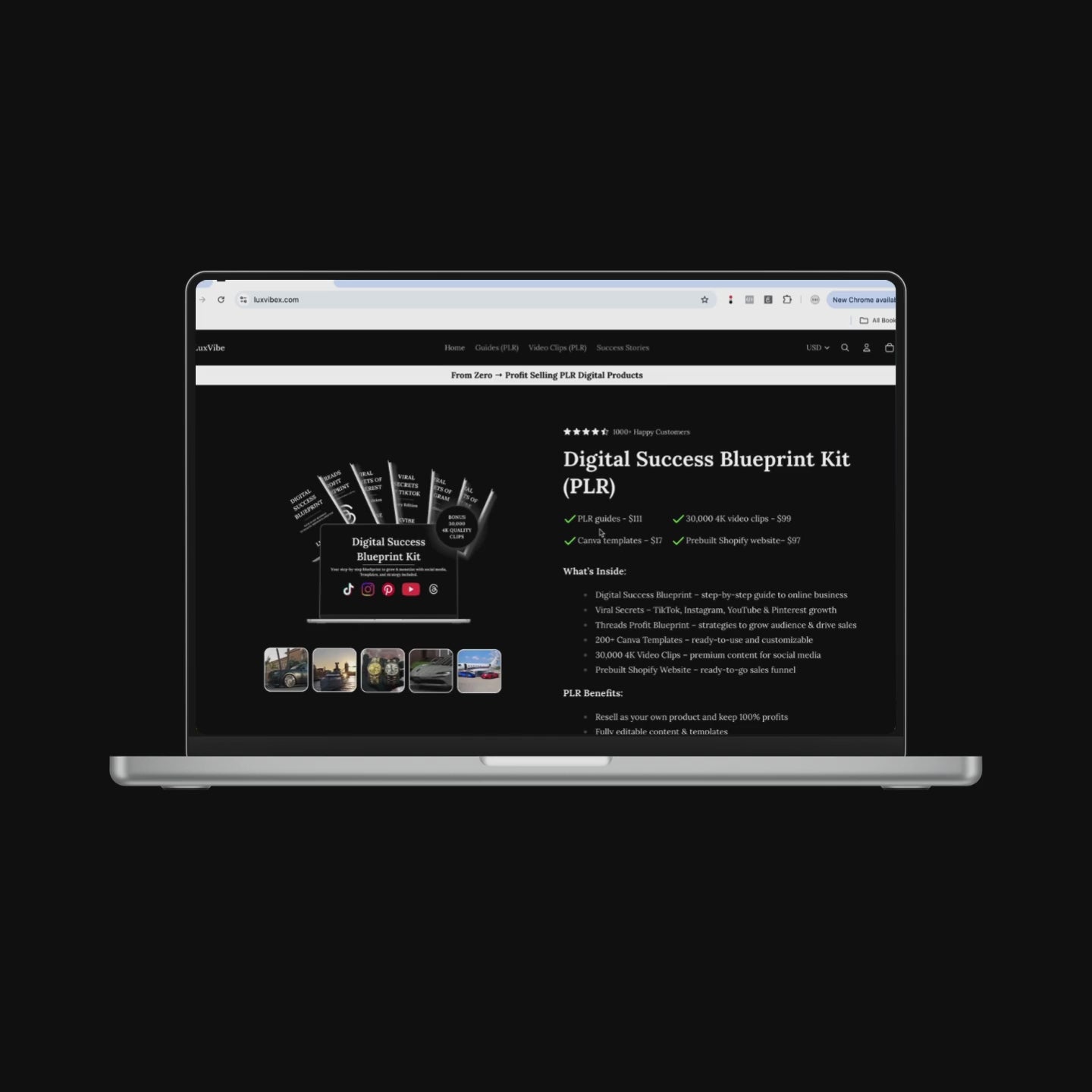 Digital Success Blueprint Kit (PLR)